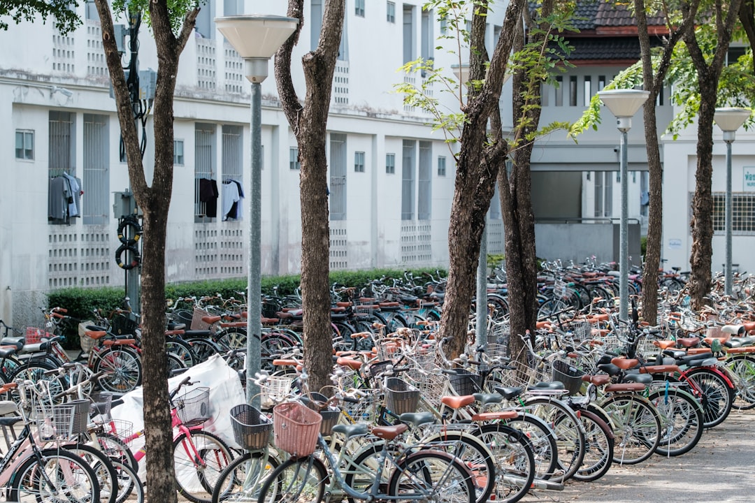 academic mobility